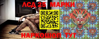 крисы Партизанск