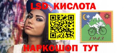 крисы Партизанск