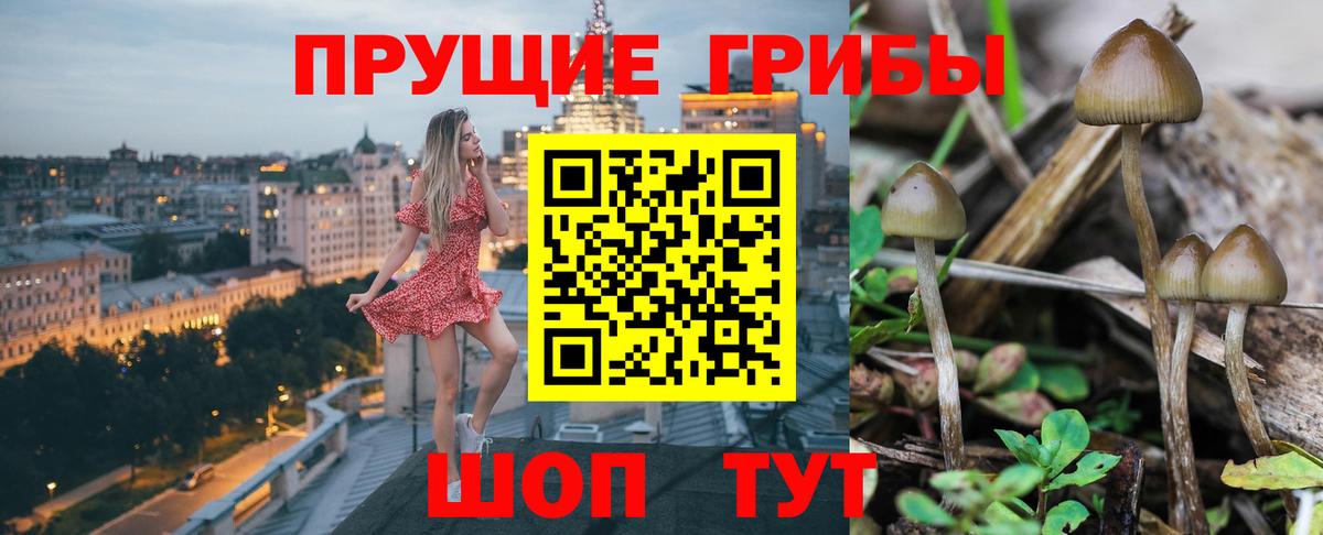 Псилоцибиновые грибы прущие грибы Россошь
