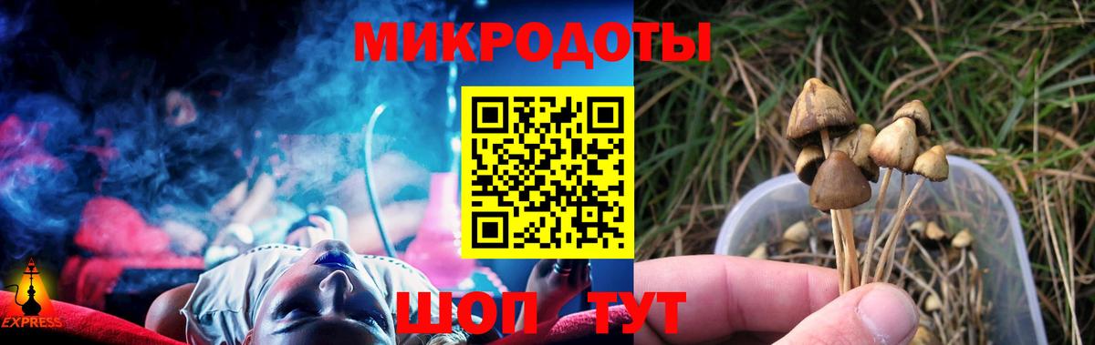 Псилоцибиновые грибы прущие грибы  Вход с VPN  наркотики  Россошь 